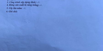 Bán nhà mặt tiền nguyễn tri phương rất thuận tiện để kinh doanh nhỏ lẻ và đầu tư