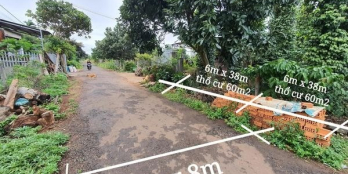 Đất Khu Bàn Cờ - Thuộc Cao Thắng Xã Eakao -  DT: 6x38m (2 lô liền kề)