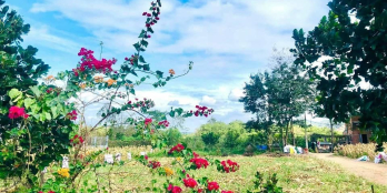 Bán lô đất, vị trí đẹp, thích hợp đầu tư DT 5x39m,22m TC 191,6m2