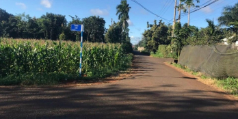 CẦN TIỀN BÁN GẤP ĐẤT MẶT TIỀN 22B ĐẠT LÝ  - Diện Tích : 5x25m