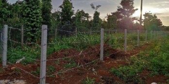 Kotam quốc chân dài Đất Eatu ql 26,  DT 5*105m