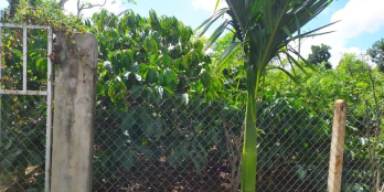 mặt tiền đường nhựa thông ô bàn cờ thôn 12 Eatu, quốc lộ 26.THỔ CƯ 90M2