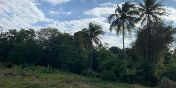 CẦN BÁN ĐẤT TẠI trung tâm phường Khánh Xuân Thổ cư 400m2 HỖ TRỢ VAY NH