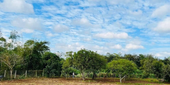 05 lô liền kề Khánh Xuân - TP.BMT Diện tích mỗi lô 5x23