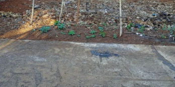 CẦN TIỀN GẤP LÔ ĐẤT Dt 7x48 thổ cư 75 Giá chỉ 590tr