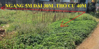 Cần bán lô đất cách mặt tiền đường nhựa Phường Khánh Xuân