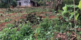 ĐẸP NHẤT EAKMAT CÂY SỐ 12 HOÀ ĐÔNG, HẺM CẤP 1 ĐƯỜNG TRÁNH ĐÔNG