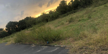 BÁN ĐẤT 2 MT ĐƯỜNG FULL THỔ,CAM THÀNH BẮC,CAM LÂM,KHÁNH HÒA.