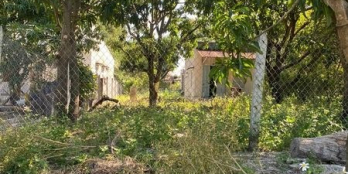 Bán đất mặt tiền đường Hồ Xuân Hương thị trấn Cam Đức