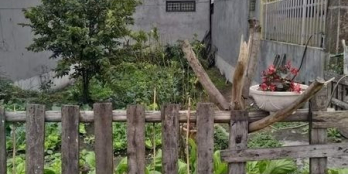 Cần Tiền, Chính Chủ Bán Gấp Ô Đất Cẩm Phú.