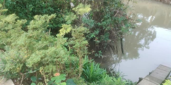 BÁN ĐẤT THỔ CƯ & VƯỜN, XÃ , TP. CAO LÃNH  Diện tích 1.553m2.