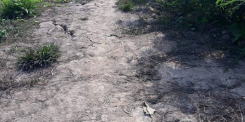 BÁN ĐẤT CÂY  LÂU NĂM. XÃ HÒA AN.TP CAO LÃNH