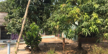 BÁN  ĐẤT VƯỜN ĐƯỜNG NHỰA XÃ TỊNH THỚI   - Thửa 2:  6,1 x83m