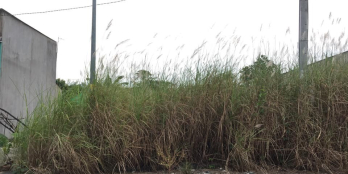 $$$ GIẢM GIÁ MÙA DỊCH CẢ CẶP CHỈ CÒN 1,2 tỷ $$$