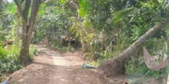 Cần bán gấp nền Thuột xã Mỹ Tân TPcl VT 9x32 m fill thổ giá 1ty200tr