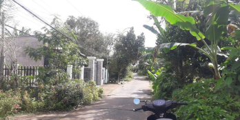 * Kích thước 5x48m, dt 240,8m2, (loại đất 100m thổ, 140,8m CLN)