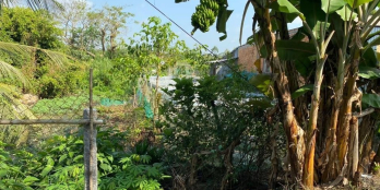 Cần bán  nền đôi thuộc Xã Mỹ Thọ huyện CL-ĐT -diện tích 10x38 fuul thổ