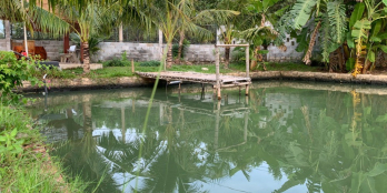 N040 - TUYỆT PHẨM NHÀ VƯỜN VEN HỒ KIM LONG CÓ 1 KHÔNG 2 KHÔNG MUA THÌ TIẾC LẮM