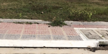 X2 – X3 LỢI NHUẬN VỚI ĐẤT NỀN BÀ RỊA – VŨNG TÀU VEN KCN LỚN TOP ĐẦU VIỆT NAM