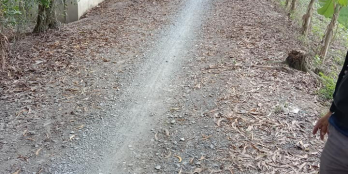 Chủ gửi bán miếng đất be ngang 30 m bè dài 182m  một công 400 triệu