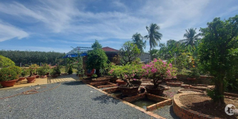 Bán đất xã an bình châu thành tp tây ninh