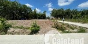 Vành đai Becamex Chơn Thành sổ cầm tay 173m2/lô giá chỉ 700 triệu/lô giá cho nhà