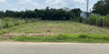 BÁN 2.560M2 MT ĐT756 THỔ CƯ, GẦN CHỢ, KCN. LƯỚT SÓNG HAY KINH DOANH MUA BÁN ĐỀU