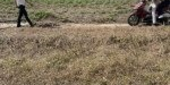 Đất chính chủ cần bán một sẹc ĐT756 và Quốc Lộ 14