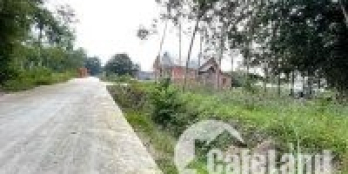 Vị trí đắc địa, dân đông đường lại thông tứ hướng, giá rẻ nhất thị trường