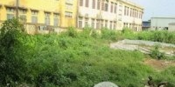 Chuyển nhượng thửa đất 17C và 18C khu Đồng Cổng Làng, TT. Xuân Mai