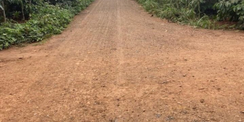 Cuor Đăng góc 2 mặt tiền cho nhà đầu tư Diện tích 12x21m