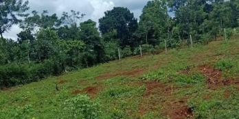 BÁN Đất tại Eadrơng hẻm cấp 1 cách KCN Phú Xuân chỉ 40m