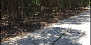 Bán lô đất nặt tiền có giá 59tr/m2 giá rẻ cực kì