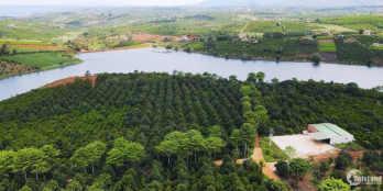 Eden Hills Nam Ban, đất nền có sổ gần khu du lịch Thác Voi giá chỉ từ 4.5 triệu