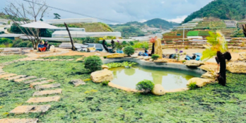 Cần bán nhanh lô đất với diện tích 500m2 - 3ty5