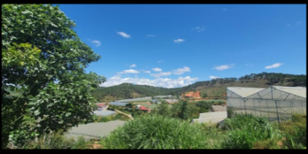 Cần bán ngay lô đất nền xây biệt thự với giá 2ty9