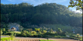 Bán ngay lô đất có sẵn thổ cư giá cực rẻ siêu bền