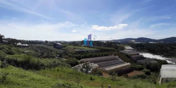 Bán lô đất đẹp có sổ hồng riêng trên đồi cao giá rẻ