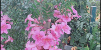 Chỉ 840 triệu. Sở hữu ngay lô đất diện tích 130m2. Tại đa phú phường 7