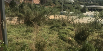 Chỉ coa 3ty5 sở hữu lô đất xây dựng P7 có diện tích 200m2