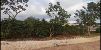 Bán nhanh lô đất Xuân Thọ-Đà Lạt. Diện tích 1000m.Sổ riêng nông nghiệp