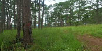 Bán lô đất vường gần khu du lịch thác Prenn