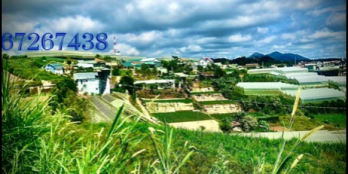 Lô đất bán Ngay trung tâm, thuận tiện di chuyển