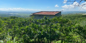 Góc bán lô đất 6x90x80m tho cư . giá 110tr/1m