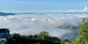 Bán lô đất mặt đường nhựa 7x90x80m tho cư .giá 115tr/1m