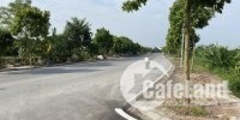 Bán 70m2 Đồng Tháp, Đan Phượng, HN. Giá 46.5 tr/m2