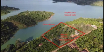 Bán 1,7hecta Tân Thượng vieu sông Giáp Nước, Di Linh , Lâm Đồng