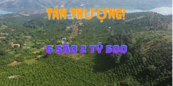 Chính chủ cần bán lô đất view toàn cảnh xã Tân Thượng