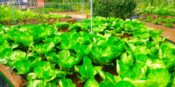 Bán đất nền gần khu du lịch Thác Voi giá chỉ từ 4.3 triệu. Gọi 0934114846