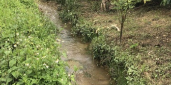 Lô đất chính chủ cần bán áo suối quang vườn